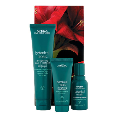 Conjunto de Natal Aveda Botanical Repair ™