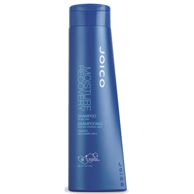 JOICO MOISTURE RECOVERY SHAMPOO