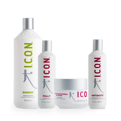 ICON PACK ENERGY 1L. FULLY 250 ML INFUSION   ANTIDOTE